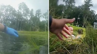 (Courtesy of Hillsborough County Sheriff’s Office)