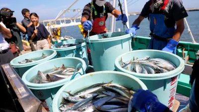Япония объявила об экстренной помощи экспортёрам морепродуктов из-за спуска воды в Фукусиме
