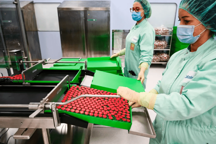 Лаборанты упаковывают флаконы с вакциной COVID-19 на производственном предприятии в Ананьи, Италия, 11 сентября 2020 г. (Vincenzo Pinto/AFP via Getty Images)