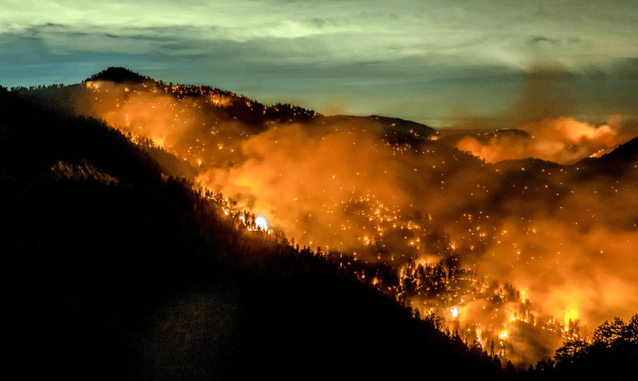 Пожар Bobcat Fire в Национальном лесу Анджелес в Лос-Анджелесе 17 сентября 2020 года. (Kyle Grillot/AFP via Getty Images)