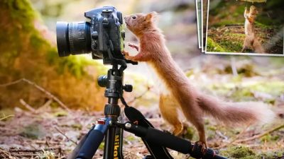 (Courtesy of David Robertshaw Photography)

