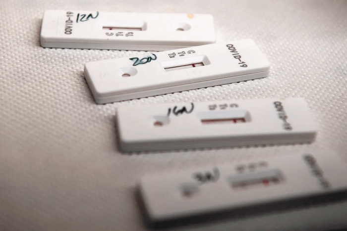 Во время пандемии компания Universal Meditech Inc. переключилась с бизнеса, связанного с воспроизводством крупного рогатого скота, на производство наборов для тестирования на беременность и наборов для тестирования на COVID-19. (Tiziana Fabi/AFP via Getty Images)