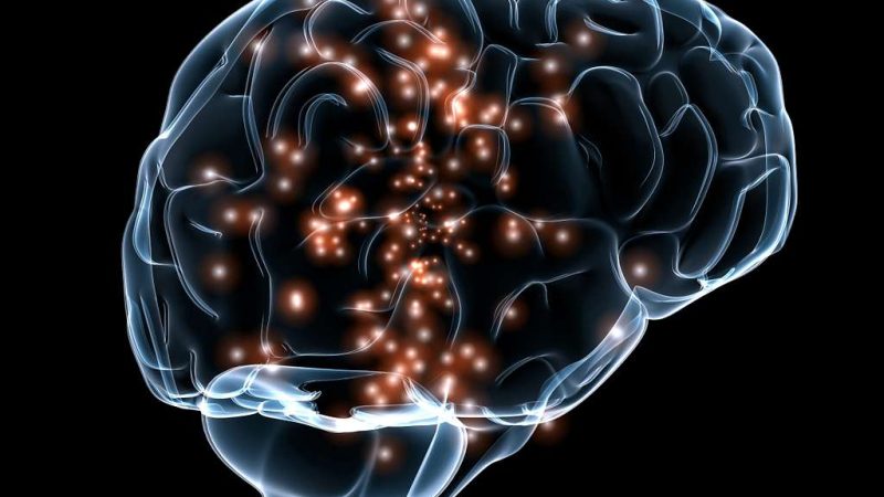 Более 1000 человек готовы вживить себе в мозг чип от Маска Фото: DARPA/ Фото: picryl.com/Public Domain
