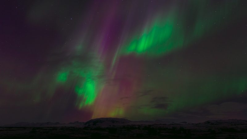 Фото: pxhere.com/СС0
