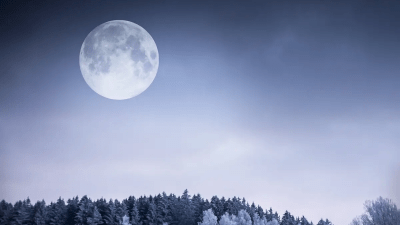 (Illustration - mejnak/Shutterstock)