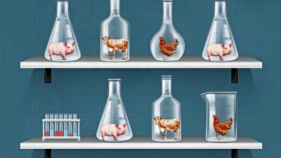 (Illustration by The Epoch Times, Shutterstock, Freepik)
