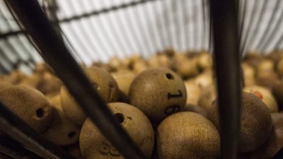 лотерея
