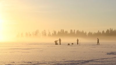  Фото: (pixabay.com/ССО)