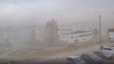 Скриншот/ntv.ru