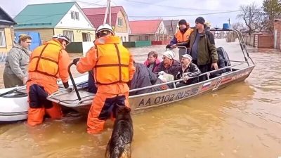 паводок