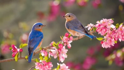(Quyen Alias/Shutterstock)