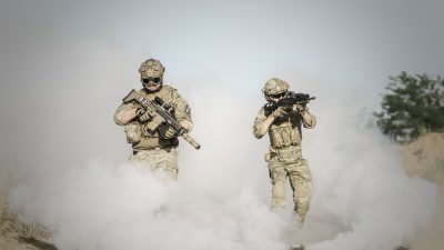  Фото: (pxhere.com/СС0)