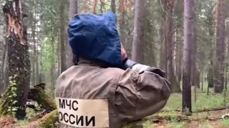 Скриншот/МЧС России

