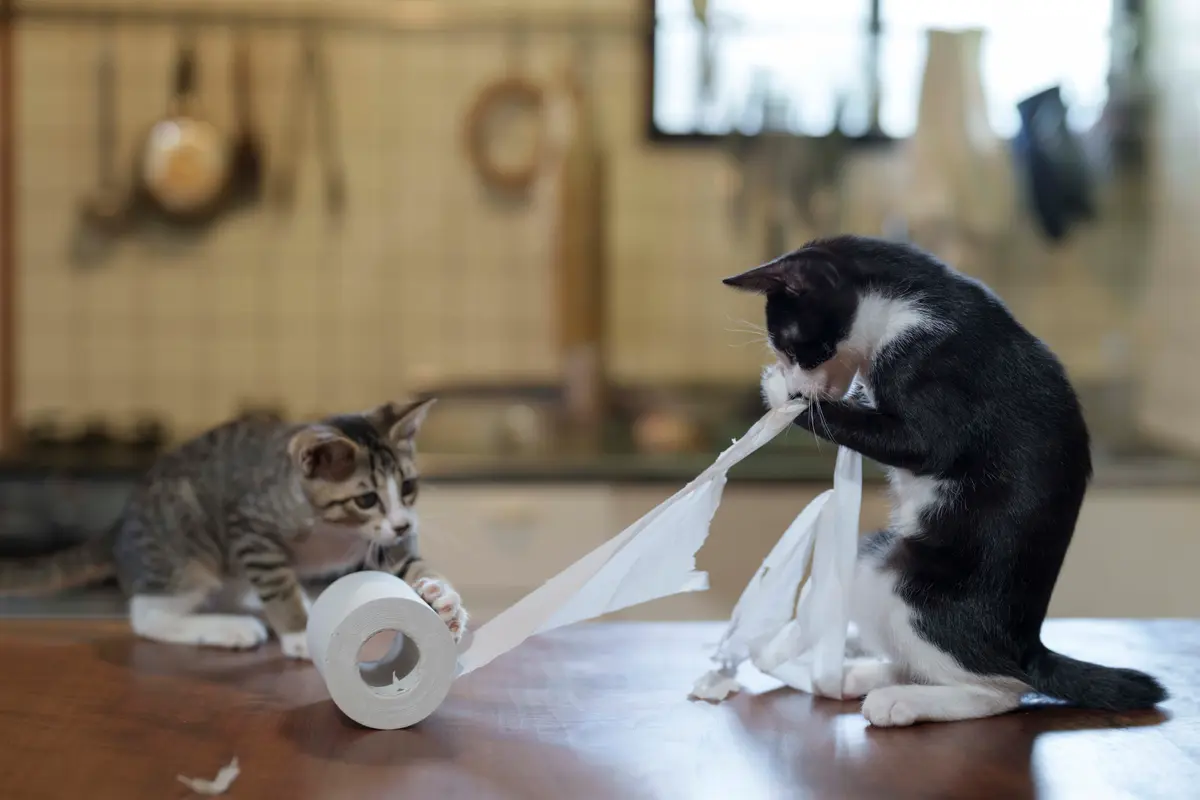 «Работники», автор Ацуюки Осимо. (© Atsuyuki Ohshimo/Comedy Pets)