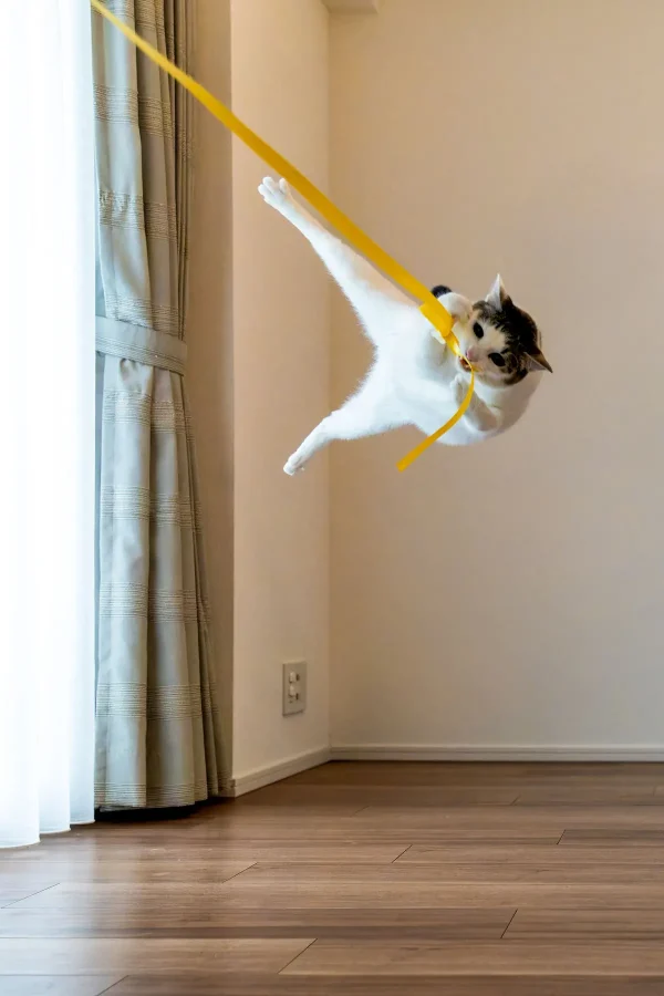 «Тарзан», автор Кадзутоси Оно. (© Kazutoshi Ono/Comedy Pets)