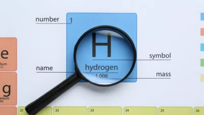 (New Africa/Shutterstock)