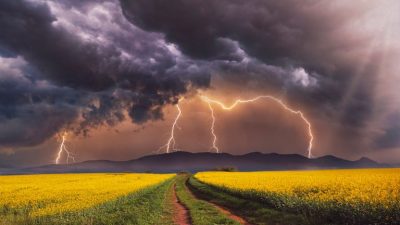 Действия предков могут навлечь несчастья на их семьи. (luciferhill via Shutterstock)