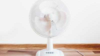  Фото: (pxhere.com/СС0)