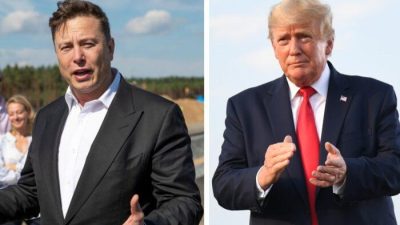 Трамп предложил Илону Маску повысить эффективность правительства США