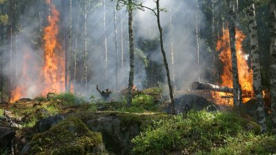 Фото: (pxhere.com/СС0)