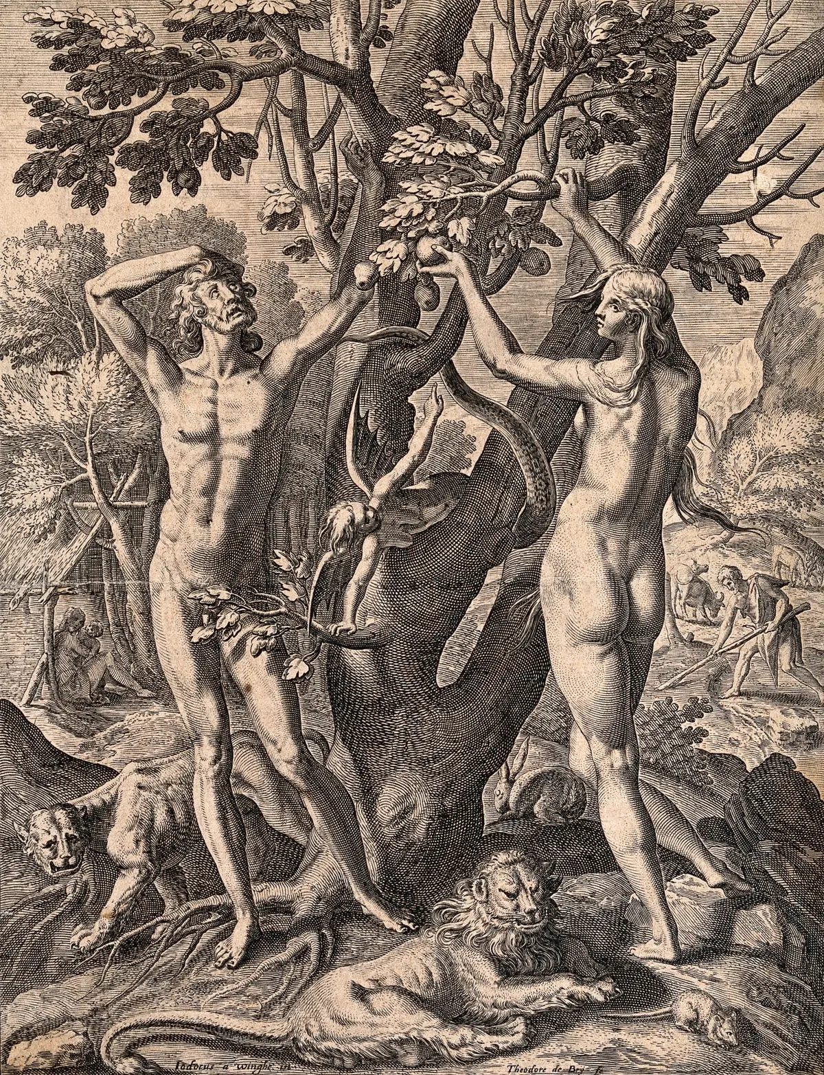 Гравюра Теодора де Брай (1528-1598) по рисунку Йодокуса ван Винге (1544-1603). Ева, возможно, и сорвала яблоко с Древа познания, но Адам, похоже, был не слишком против его съесть. (Public Domain)
