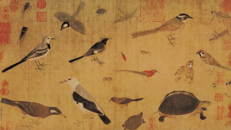 Картина Хуан Цюаня «Птицы, черепахи и насекомые на шёлке». (Public Domain)