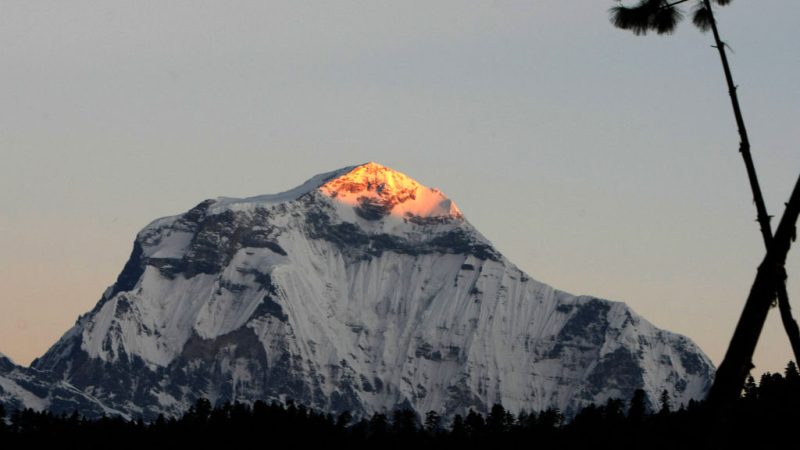 Фото: Гора Дхаулагири, Гималаи. (PRAKASH MATHEMA/AFP via Getty Images) 
