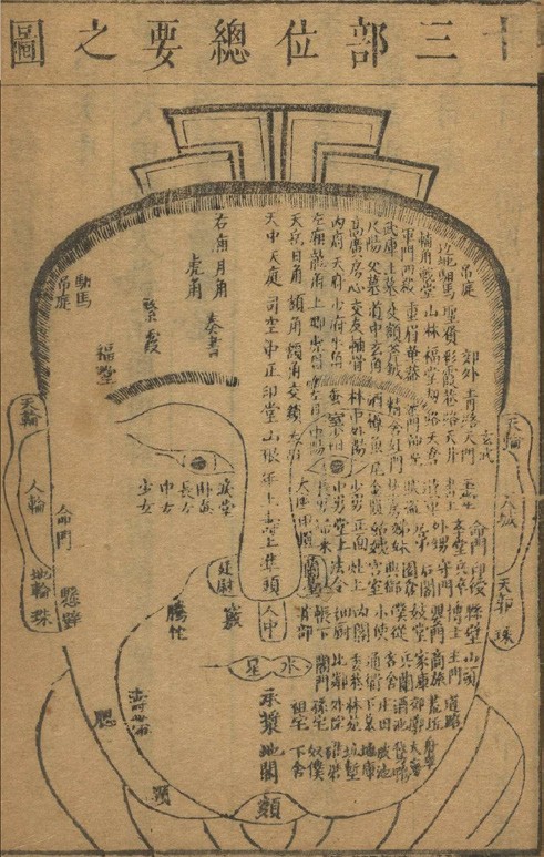 Ориентиры для измерения лица. (Public Domain)