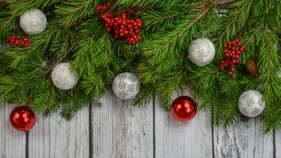 Фото: (pixabay.com/ССО)