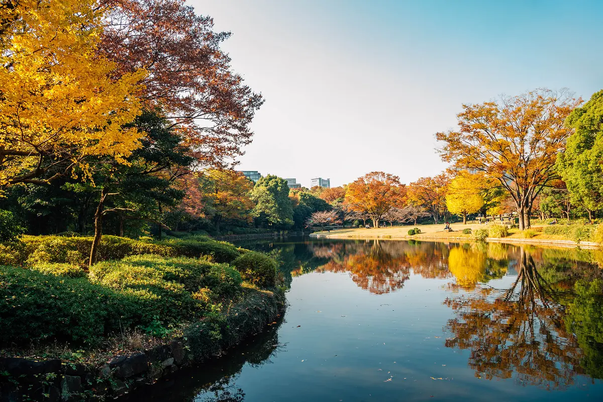 Осенью парк Китаномару полон разноцветных листьев. (Sanga Park/iStock/Getty Images)