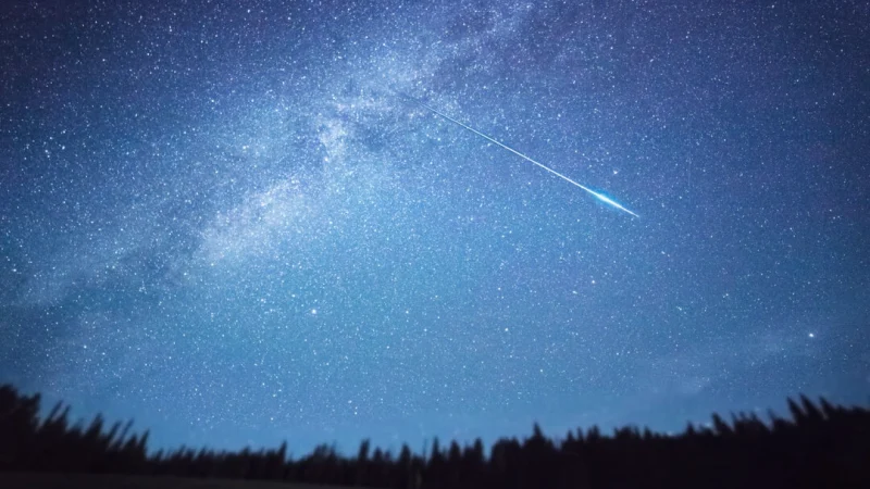 (Shutterstock/Pozdeyev Vitaly)