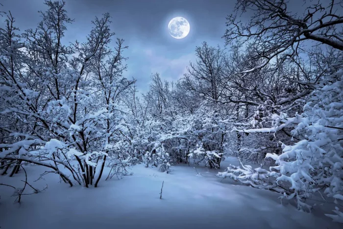Снежная зимняя ночь с полной луной. (Shutterstock/nodff)