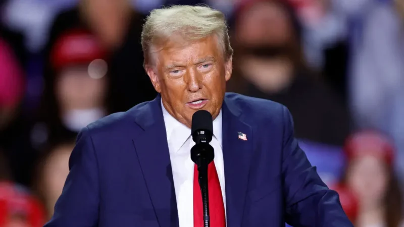 Дональд Трамп выступает на предвыборном митинге на Ван-Андел-Арене в Гранд-Рапидс, штат Мичиган, 5 ноября 2024 года. (Kamil Krzaczynski/AFP via Getty Images)