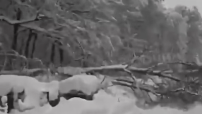 Скриншот/соцсети