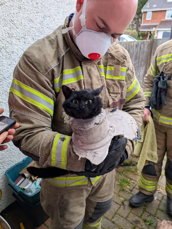 Пожарным пришлось отрезать часть трубы, чтобы освободить кошку. («Clevedon Firefighters» / SWNS)