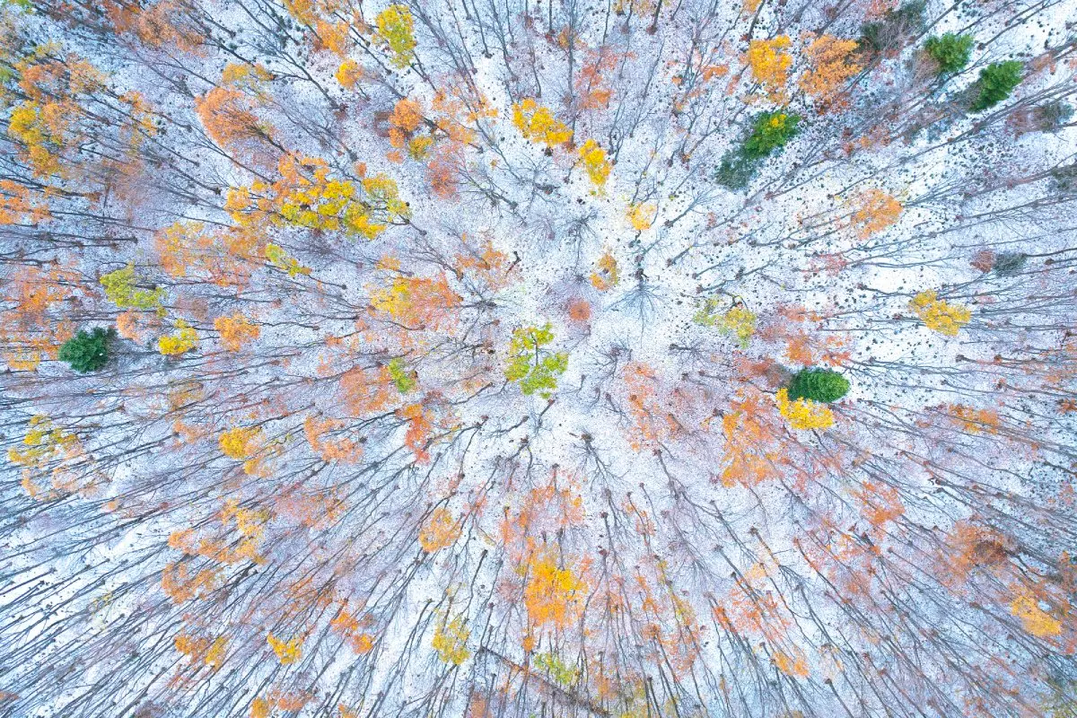 «Ранняя осень», автор Георге Попа. (Courtesy of The 11th International Landscape Photographer of the Year)