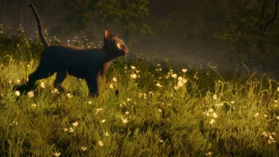Кот сталкивается с миром после наводнения в фильме «Поток». (Dream Well Studio)