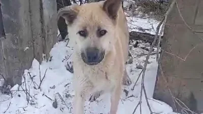 (Telegram-канал Newsbox24.tv)