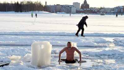 Финский залив