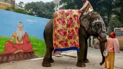 NIHARIKA KULKARNI/AFP via Getty Images