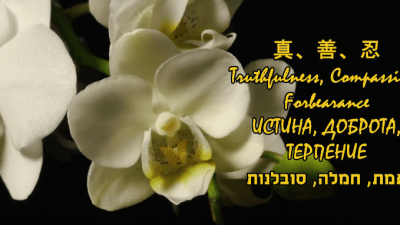(Скриншот / ganjingworld.com)