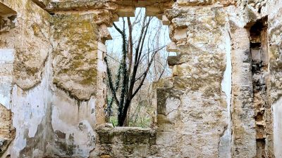 Древние развалины греческой усадьбы — малоизвестный маршрут близ Северной Севастополя