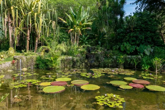 (Carlos Causo/Courtesy of Fairchild Tropical Botanic Garden)