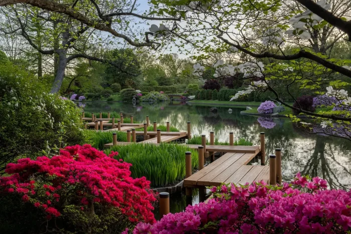 (Kent Burgess/Missouri Botanical Garden)