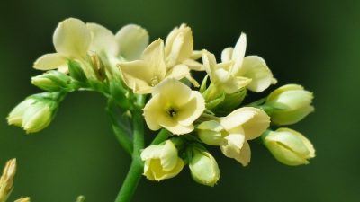 Чистые слова, идущие от сердца, помогли неудачникам стать лучше (pixabay)