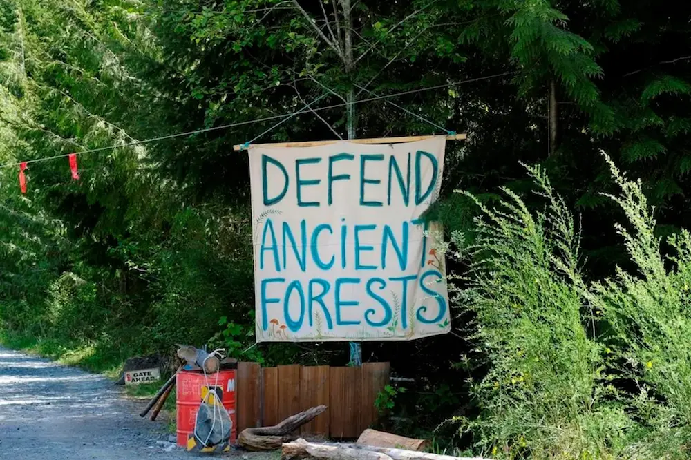 На входе в блокпост «Эдем» в районе Fairy Creek недалеко от Порт-Ренфрю, Британская Колумбия, Канада, в фильме. (The Canadian Press/Jen Osborne/Understory Films)