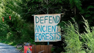 Плакат у входа в блокпост «Эдем» в Fairy Creek. (The Canadian Press/Jen Osborne)