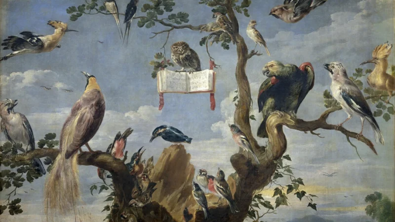 «Концерт птиц», 1629-1630, художник Франс Снайдерс. Холст, масло. (Public Domain)