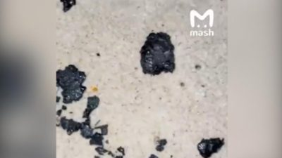 Скриншот/Mash