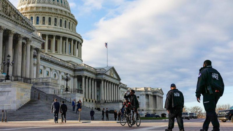 Офицеры полиции Капитолия США патрулируют восточную часть площади перед зданием Капитолия в Вашингтоне, округ Колумбия, 7 марта 2024 года. (Anna Moneymaker/Getty Images)